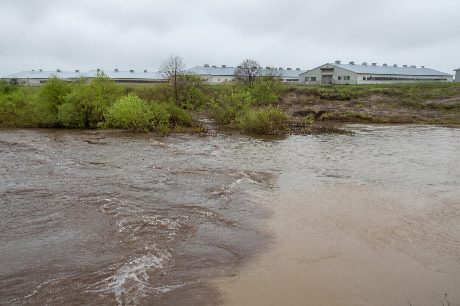 A wide shot of a flooded landscape where brownish manure lagoon water is mixing with a local river after heavy rain.