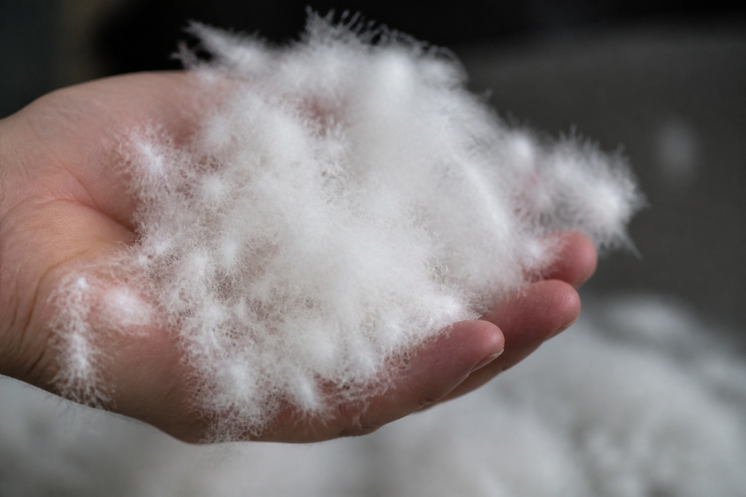 A close-up shot of a handful of raw, white goose down being held by a hand, showing the delicate structure.