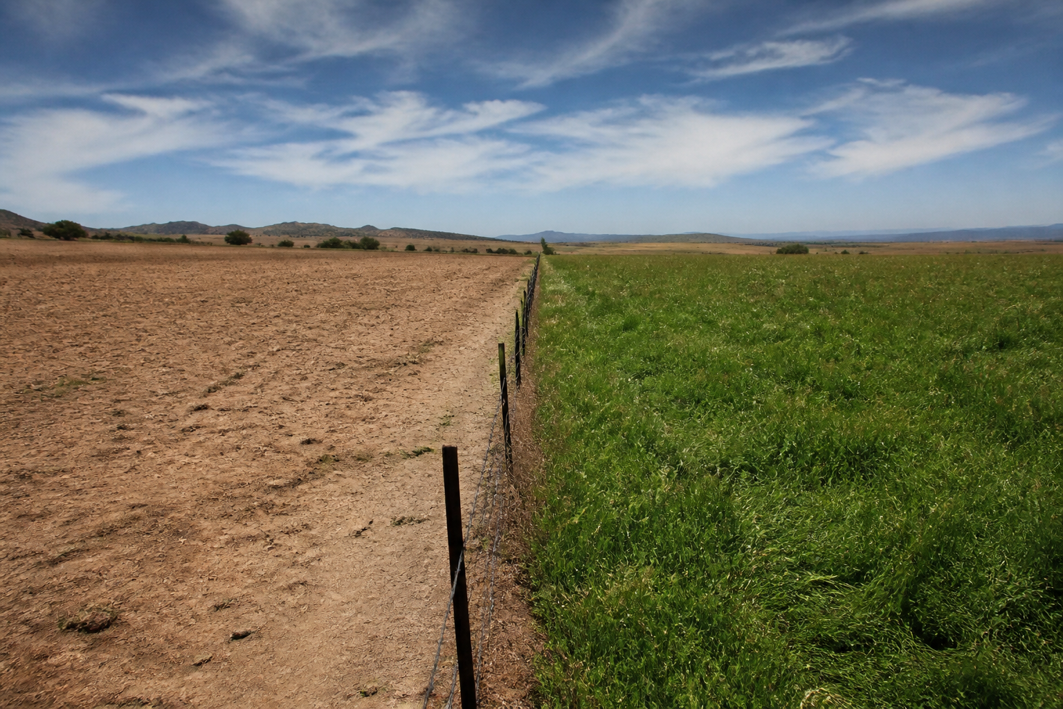 A high-contrast landscape photo showing a fence line separating a dry, overgrazed dirt field from a vibrant, managed regenerative pasture.