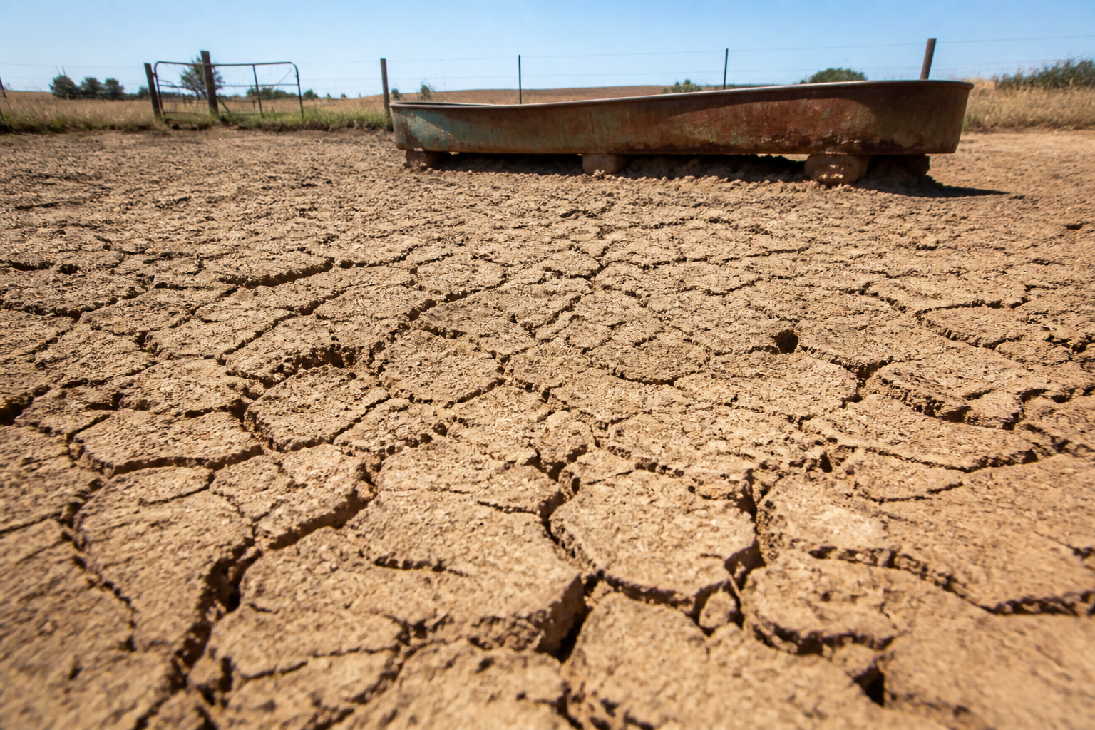 Close-up of parched, cracked earth in a dusty cattle pasture with a rusted water trough in the background, harsh lighting.