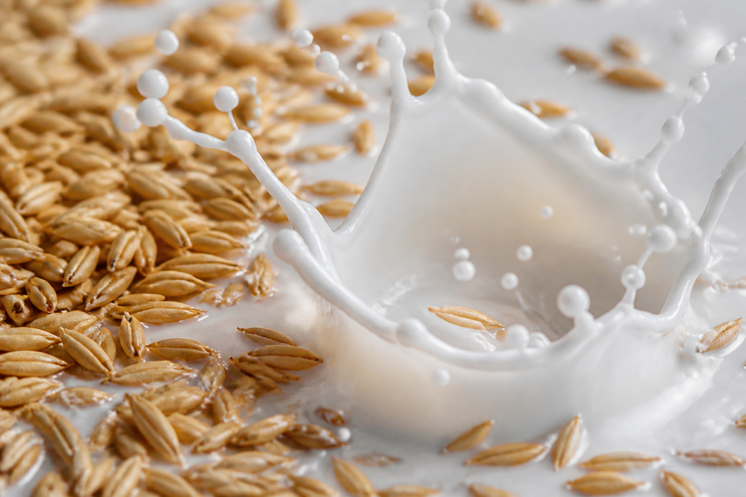Macro photograph of dry oat grains and a splash of milk, highlighting the texture and purity of the ingredients, studio lighting.