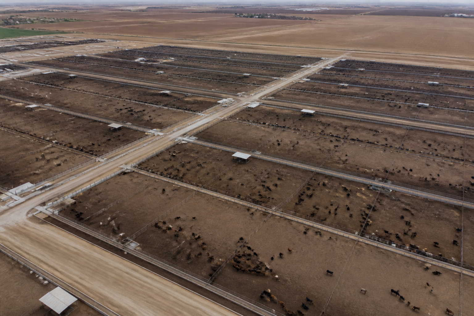 Aerial view of a large cattle feedlot with pens and service roads, clear documentary composition.